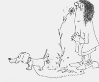 Billie Goussiou - Cartoon