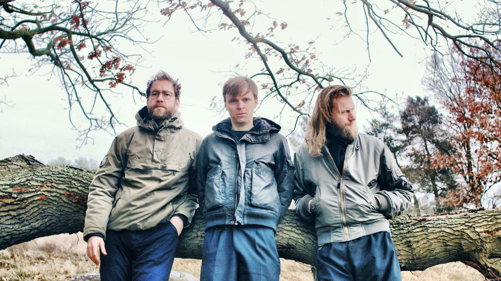 band sitzt auf dem baum